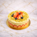 Fraisier pistache